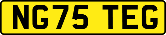 NG75TEG