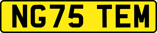 NG75TEM