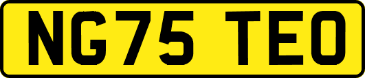 NG75TEO