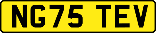 NG75TEV