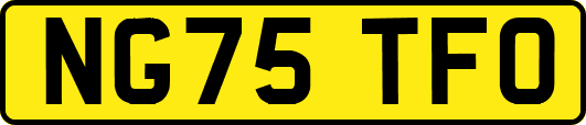 NG75TFO