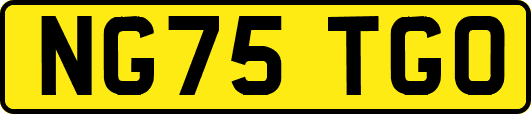 NG75TGO