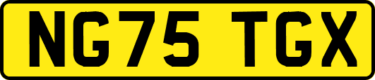 NG75TGX