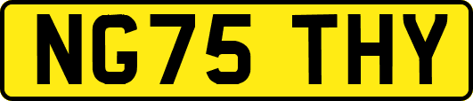 NG75THY