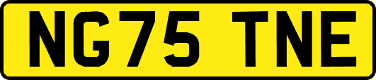 NG75TNE