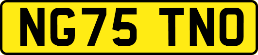 NG75TNO