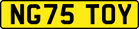 NG75TOY