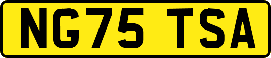 NG75TSA