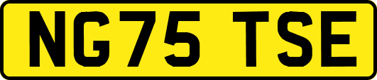 NG75TSE