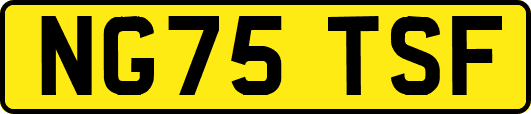 NG75TSF