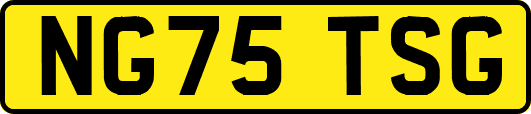 NG75TSG