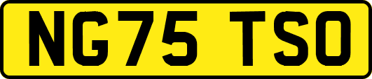 NG75TSO