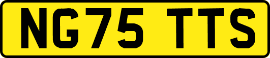 NG75TTS