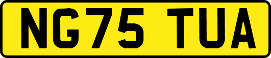 NG75TUA