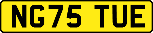 NG75TUE