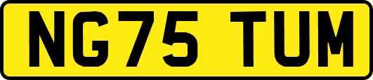 NG75TUM