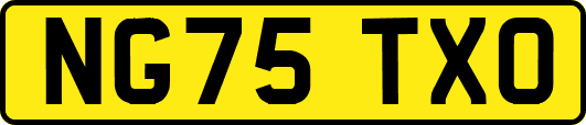 NG75TXO