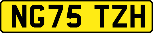NG75TZH