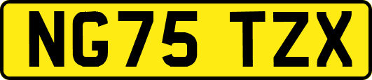 NG75TZX