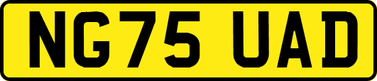 NG75UAD
