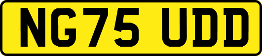 NG75UDD