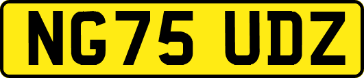 NG75UDZ