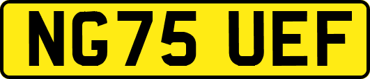 NG75UEF
