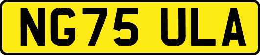 NG75ULA