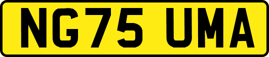 NG75UMA