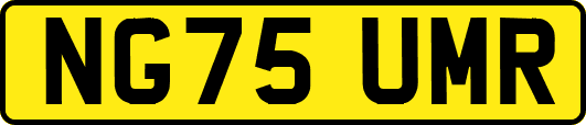 NG75UMR