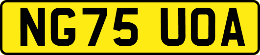 NG75UOA