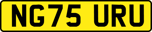 NG75URU