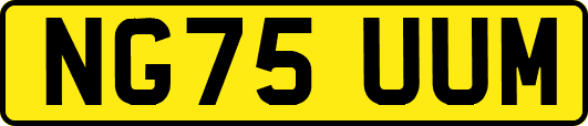 NG75UUM