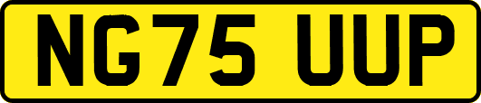 NG75UUP