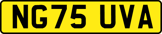 NG75UVA