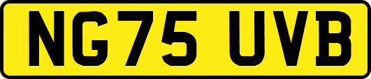 NG75UVB