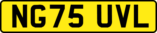 NG75UVL