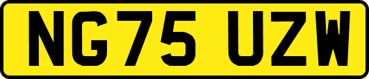 NG75UZW