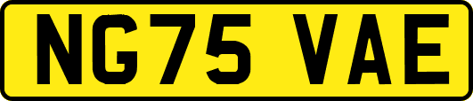 NG75VAE