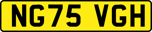 NG75VGH