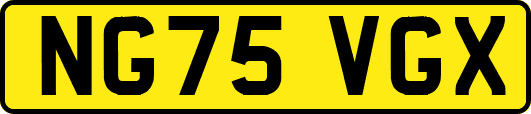 NG75VGX