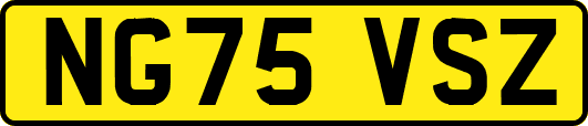 NG75VSZ