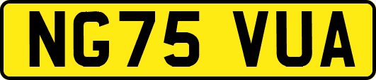 NG75VUA
