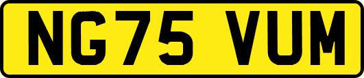 NG75VUM