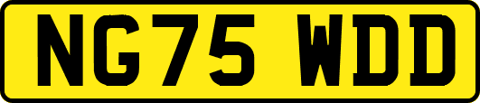 NG75WDD
