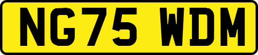 NG75WDM