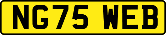 NG75WEB