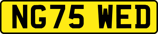 NG75WED