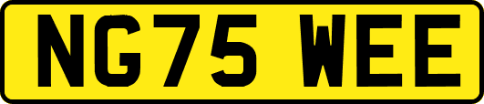 NG75WEE
