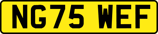 NG75WEF